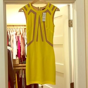 Bebe bodycon dress